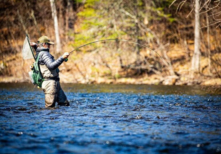 Pêche en eau douce : Astuces pour attraper plus de poissons